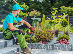 Lorem ipsum dolor, sit amet consectetur adipisicing elit. Quam, consectetur.